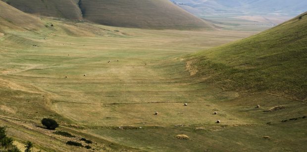 Cammino nelle Terre Mutate viaggio in centro Italia a piedi piana di Castelluccio di Norcia