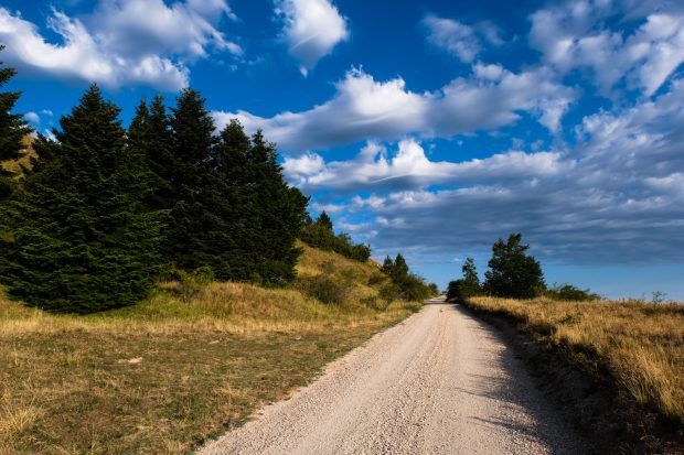 Cammino nelle Terre Mutate viaggio in centro Italia a piedi strada bianca