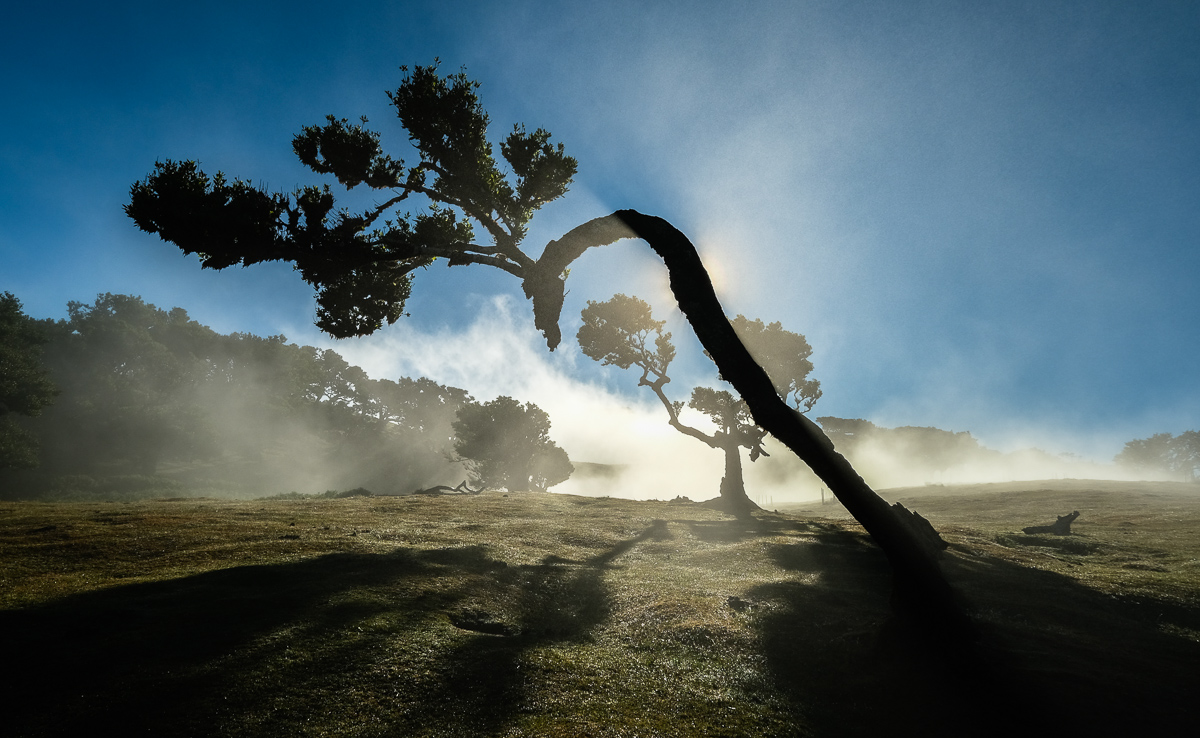 Viaggio a Madeira fotografia