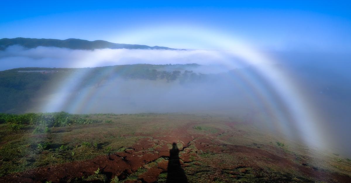 Viaggio a Madeira foresta fanal arcobaleno