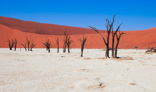 Viaggio in Namibia dead vlei