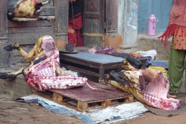 kathmandu macellaio strada