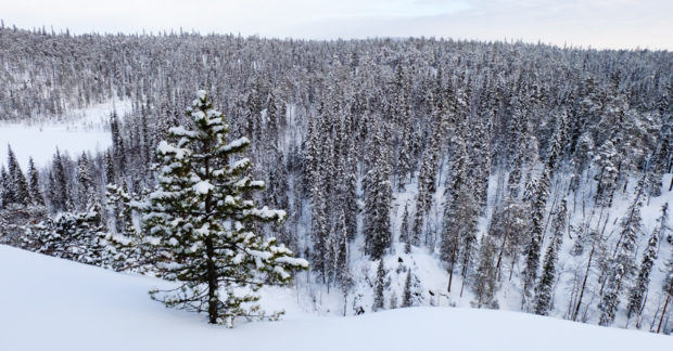 lapponia inverno oulanka ciaspole spedizione